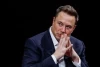 Neuralink's Ambitious Journey: Human Trials for Elon Musk's Brain Chip Start-Up on the Horizon